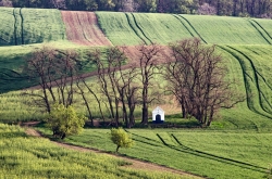 KAPLIČKA SV. BARBORY - STRÁŽOVICE 2020