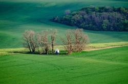 KAPLIČKA SV. BARBORY - STRÁŽOVICE 2020