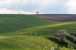 ŠARDICKÉ BIOPÁSY 2021