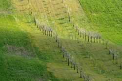 ŠARDICKÉ BIOPÁSY 2021
