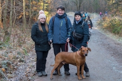 SILVESTROVSKÝ VÝŠLAP NA ROZHLEDNU BRDO 2020