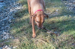 SILVESTROVSKÝ VÝŠLAP NA ROZHLEDNU BRDO 2020