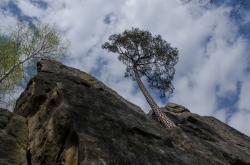 ČERTOVY SKÁLY 4_2017