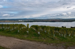 ZŘÍCENINA HRADU DĚVIČKY 2020