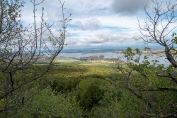 ZŘÍCENINA HRADU DĚVIČKY 2020