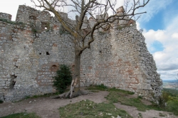 ZŘÍCENINA HRADU DĚVIČKY 2020