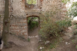 ZŘÍCENINA HRADU DĚVIČKY 2020