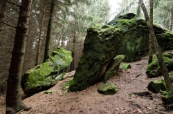 JEŘABČINA SKÁLA 2020