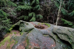 JEŘABČINA SKÁLA 2020