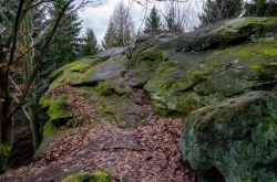 JEŘABČINA SKÁLA 2020