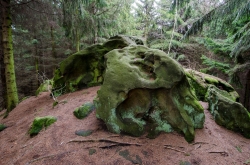 JEŘABČINA SKÁLA 2020