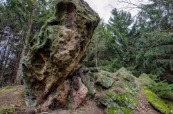 JEŘABČINA SKÁLA 2020