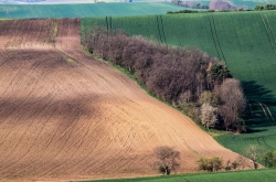 STRÁŽOVICE - OKOLÍ 2020
