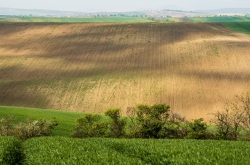 STRÁŽOVICE - OKOLÍ 2020
