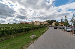 VINAŘSTVÍ U KAPLIČKY