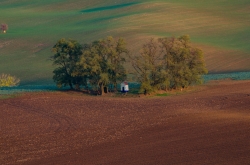 KAPLIČKA SV. BARBORY - STRÁŽOVICE 2019