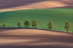 KARLÍNSKÉ OKOLÍ 2021