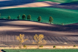 KARLÍNSKÉ KAŠTANY 2021