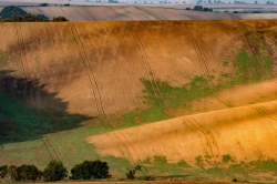 STRÁŽOVICE - OKOLÍ 2021