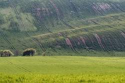 STRÁŽOVICE - OKOLÍ 2021