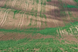 STRÁŽOVICE - OKOLÍ 2021