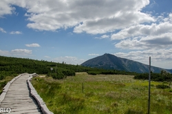 Z LUČNÍ BOUDY NA SNĚŽKU 