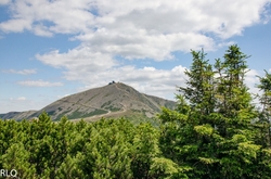 Z LUČNÍ BOUDY NA SNĚŽKU 