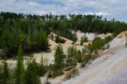 KAOLÍNOVÝ LOM SEČ U RUDICE 2020