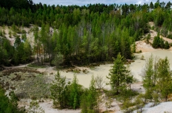 KAOLÍNOVÝ LOM SEČ U RUDICE 2020