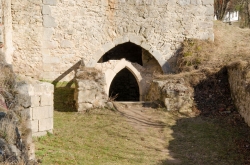 ZŘÍCENINA HRADU LUKOV 2017