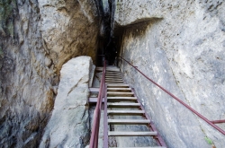 MARIINA VYHLÍDKA 2019