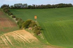 ŠARDICE A OKOLÍ 2021