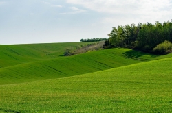 ŠARDICE - OKOLÍ 2020