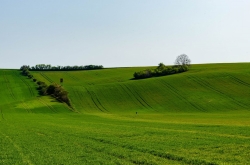 ŠARDICE - OKOLÍ 2020