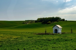 VÝRUBKOVA KAPLIČKA - STAVĚŠICE 2021