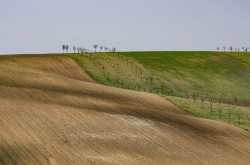 ŠARDICKÉ BIOPÁSY 2020