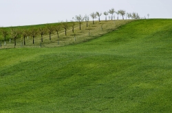 ŠARDICKÉ BIOPÁSY 2020