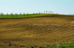 ŠARDICKÉ BIOPÁSY 2020