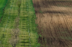 ŠARDICKÉ BIOPÁSY 2020