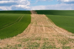 ŠARDICKÉ BIOPÁSY 2021