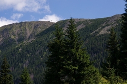 V OBŘÍM DOLE - V POZADÍ LANOVKA NA SNĚŽKU