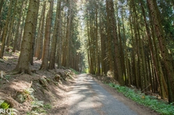 Z VELKÉ ÚPY NA PORTÁŠKY A ZPĚT