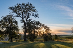 KOLONÁDA REISTNA - VÝCHOD SLUNCE 2020