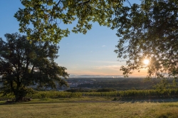 KOLONÁDA REISTNA - VÝCHOD SLUNCE 2020