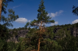 SMĚR PRAVČICKÁ BRÁNA 2019