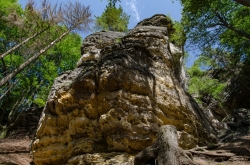 SMĚR PRAVČICKÁ BRÁNA 2019