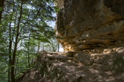 SMĚR PRAVČICKÁ BRÁNA 2019