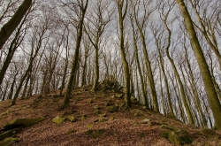 CHŘIBY - ROZŠTÍPENÁ SKÁLA 2020