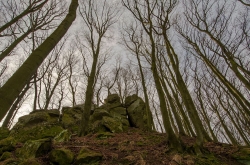 CHŘIBY - ROZŠTÍPENÁ SKÁLA 2020