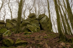 CHŘIBY - ROZŠTÍPENÁ SKÁLA 2020